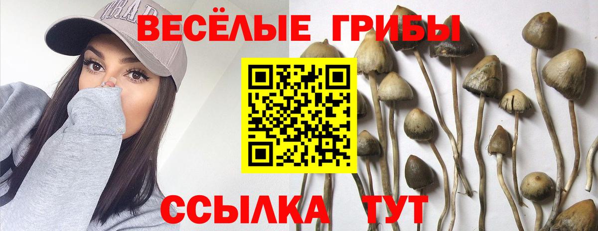 Псилоцибиновые грибы мухоморы  Вход с VPN  Галлюциногенные грибы Psilocybine cubensis  Кировск 