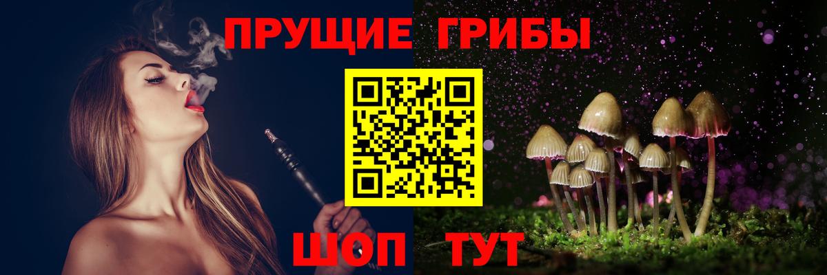 Псилоцибиновые грибы Cubensis Кировск