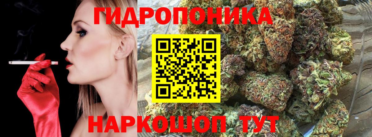 Бошки марихуана White Widow Кировск